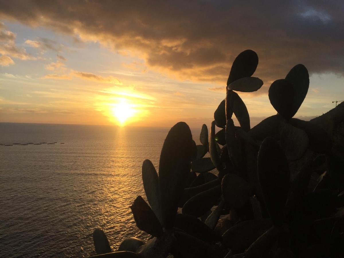 Villa Mango House Arco da Calheta  Esterno foto