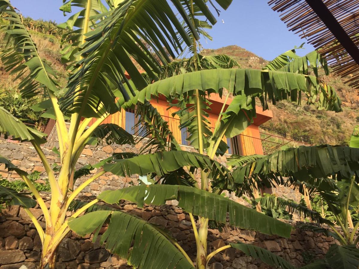 Villa Mango House Arco da Calheta  Esterno foto