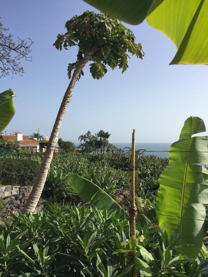 Villa Mango House Arco da Calheta  Esterno foto